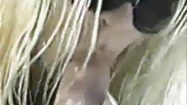 brune chaude et film francais en entier porno crème